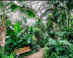You can see a cactus room, greenhouse, and a room having seasonal plants in the park. It is filled with numerous flowering plants, tropical plants, sh